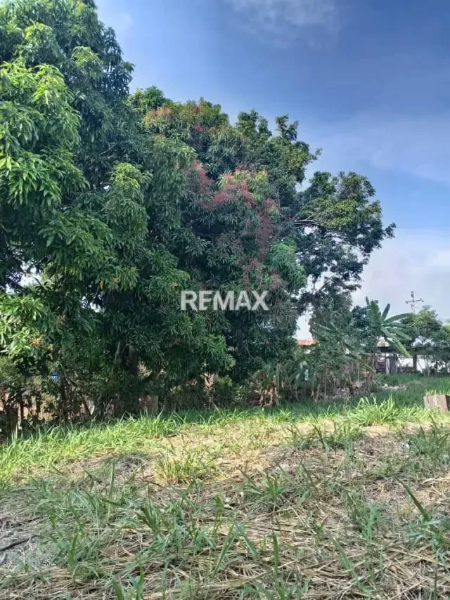 EN VENTA TERRENO MULTIPROPOSITO CON UNA UBICACION ESTRATEJICA - 6
