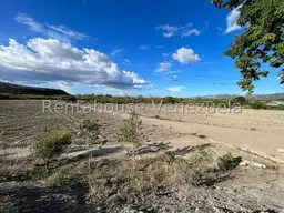 View 15