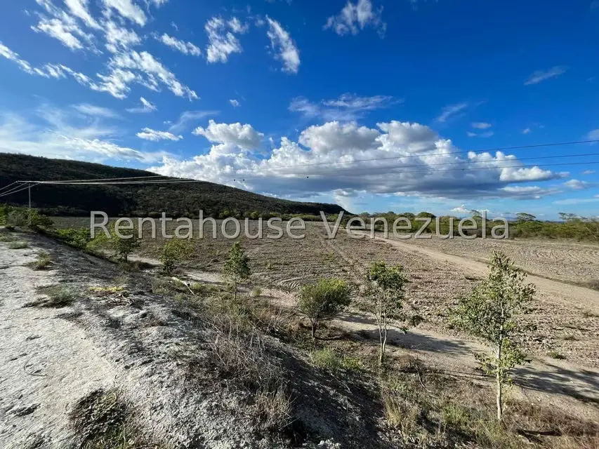 Terreno (Finca) en Venta en Municipio Jimenez, Lara - 16