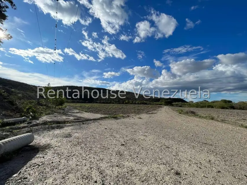Terreno (Finca) en Venta en Municipio Jimenez, Lara - 18
