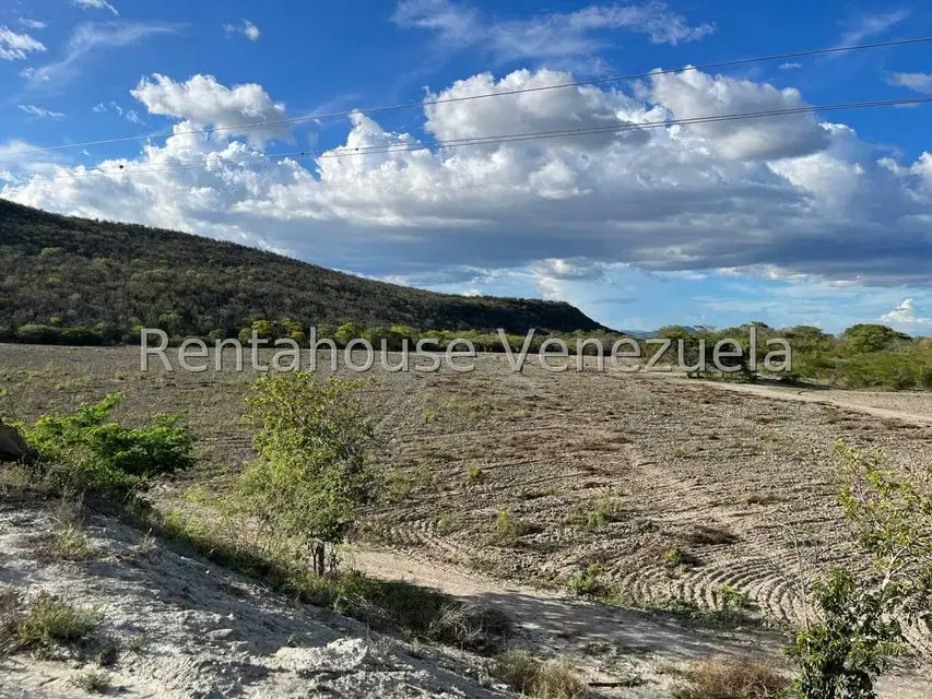 Terreno (Finca) en Venta en Municipio Jimenez, Lara - 9