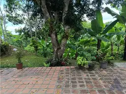 Vista 17