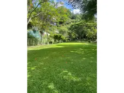 Vista 14