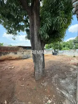 View 11
