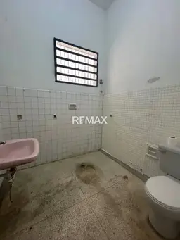 Vista 4
