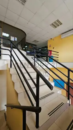 Vista 5