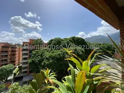 Vista 11