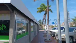 Vista 18