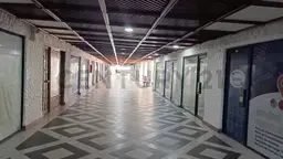 Vista 19