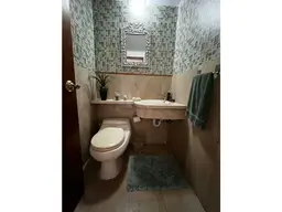 Vista 6