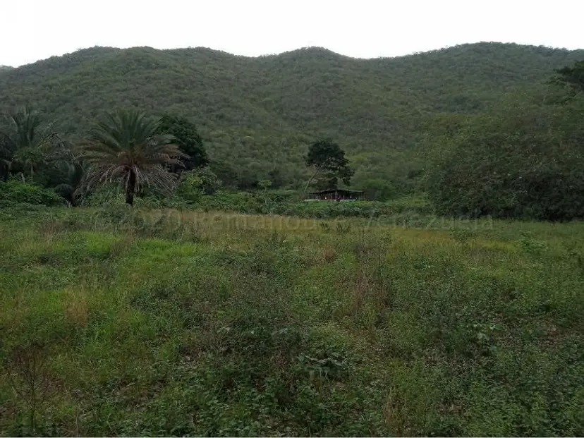 Terreno (Residencial) en Venta en La Asuncion, Nueva Esparta