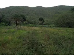 Vista 1