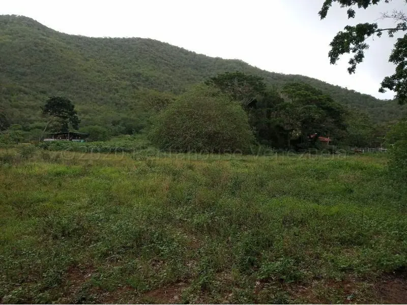 Terreno (Residencial) en Venta en La Asuncion, Nueva Esparta - 2