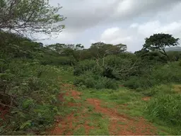 Vista 5