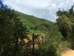 Vista 6