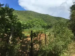 Vista 7