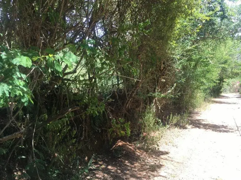 Terreno (Residencial) en Venta en La Asuncion, Nueva Esparta - 8