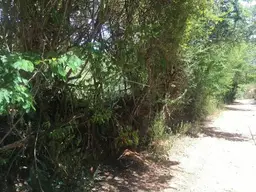 Vista 8