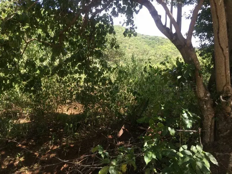 Terreno (Residencial) en Venta en La Asuncion, Nueva Esparta - 9