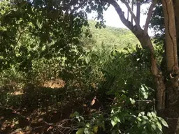 Vista 9