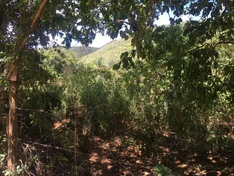 Terreno (Residencial) en Venta en La Asuncion, Nueva Esparta - 10