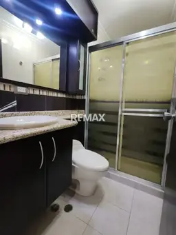 Vista 11