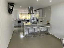 Vista 19