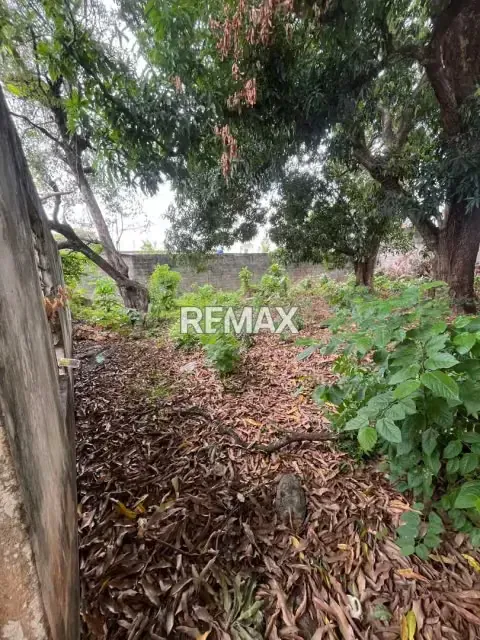 CASA CON TERRENO EN VENTA. SECTOR CENTRO ACARIGUA ESTADO PORTUGUESA. - 14