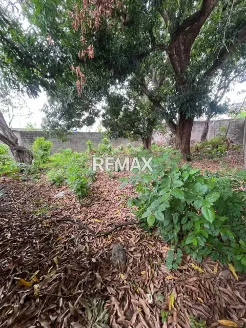 CASA CON TERRENO EN VENTA. SECTOR CENTRO ACARIGUA ESTADO PORTUGUESA. - 15