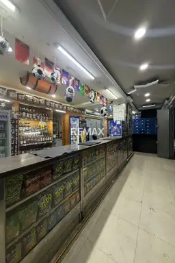 Vista 5