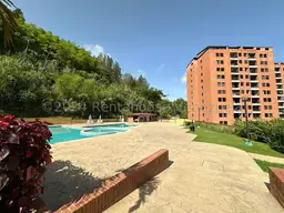 Vista 19