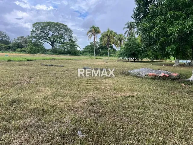 En venta Granja El Paraíso – Sector Tapa de Piedra, Araure. - 5