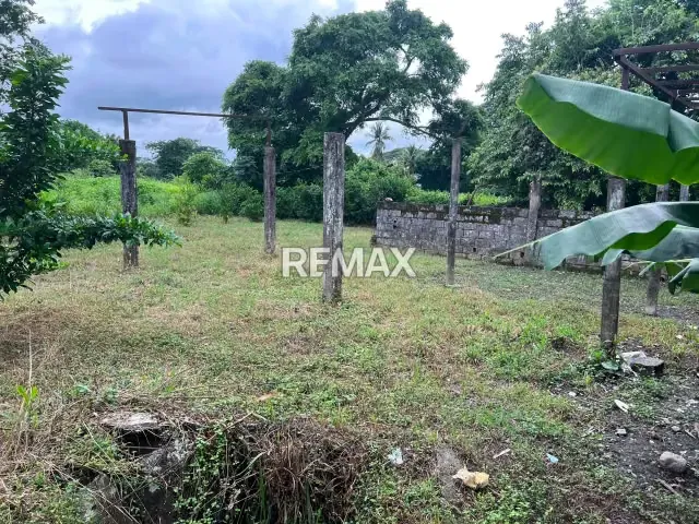 En venta Granja El Paraíso – Sector Tapa de Piedra, Araure. - 6