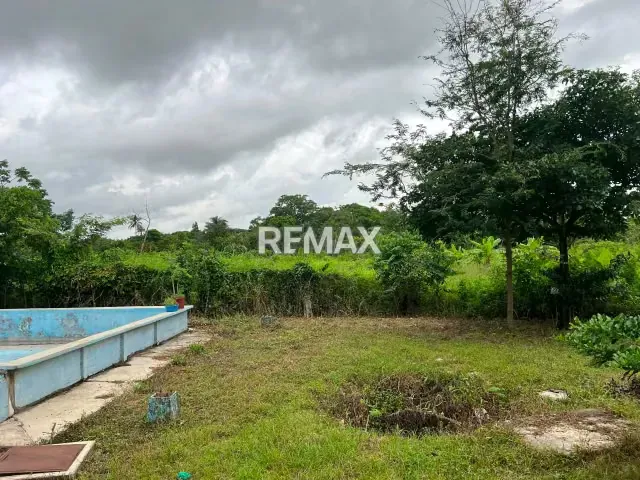 En venta Granja El Paraíso – Sector Tapa de Piedra, Araure. - 7
