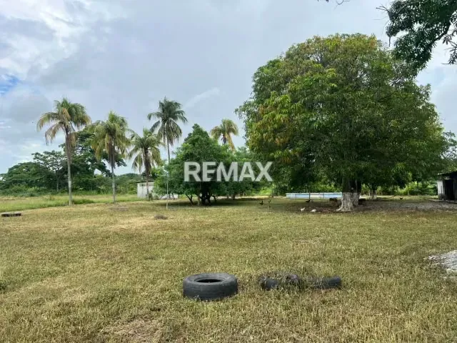 En venta Granja El Paraíso – Sector Tapa de Piedra, Araure. - 9