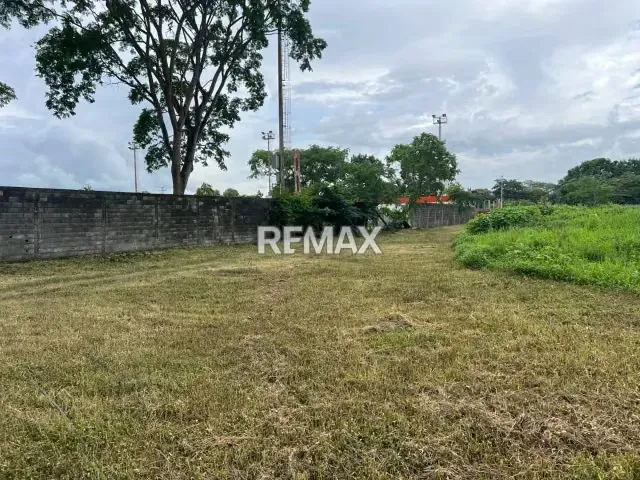 En venta Granja El Paraíso – Sector Tapa de Piedra, Araure. - 10