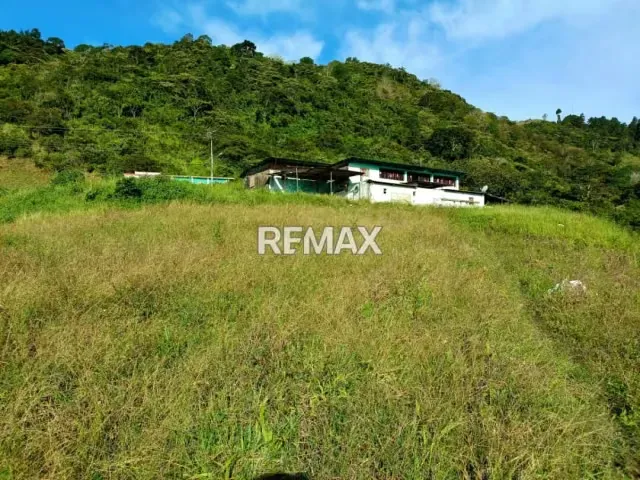 EN VENTA TERRENO EN LA LAJA #3