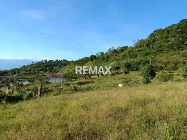 EN VENTA TERRENO EN LA LAJA #3 - 3