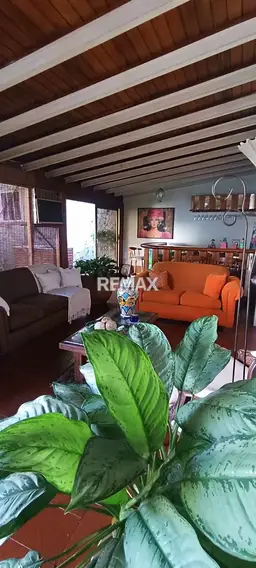 View 5
