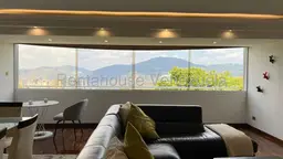 Vista 24