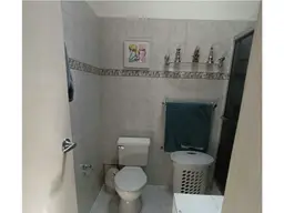Vista 19