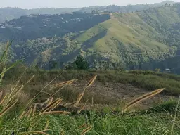View 1