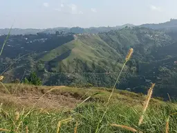 View 3