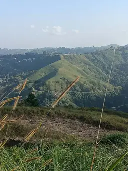 View 4