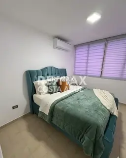 View 12