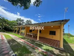 View 15