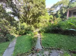 Vista 33