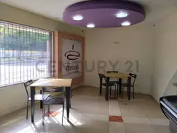 Vista 4