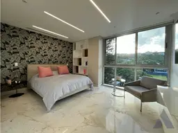 Vista 20