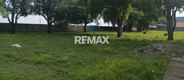 EN VENTA TERRENO PROPIO CON ACCESO DIRECTO DE LA CARRETERA NACIONAL ACARIGUA-AGUA BLANCA, SECTOR ALGODONAL - 2